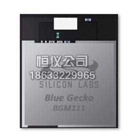 BGM111E256V2(Silicon Labs)蓝牙模块 (802.15.1)图片
